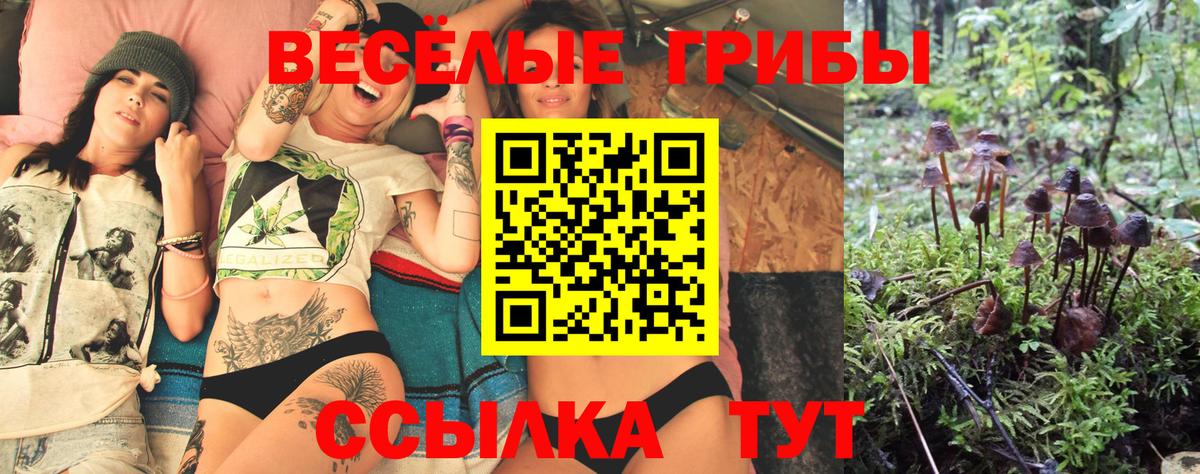Псилоцибиновые грибы мицелий Рыбинск