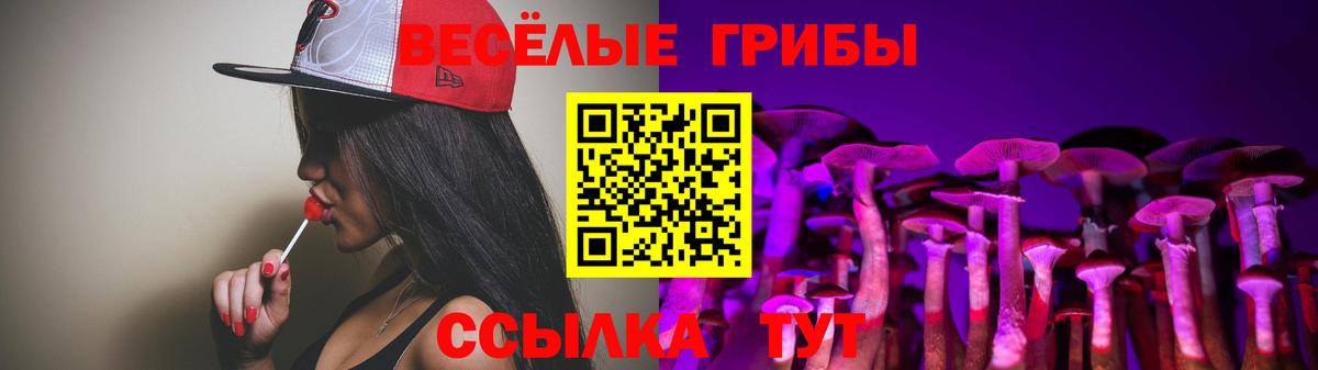 Рыбинск  Галлюциногенные грибы Psilocybine cubensis  Вход с VPN 